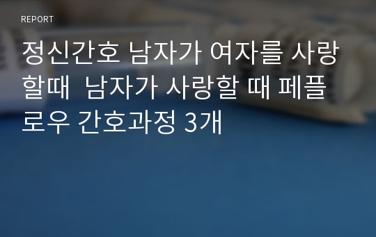 정신간호 남자가 여자를 사랑할때  남자가 사랑할 때 페플로우 간호과정 3개