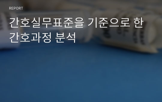 간호실무표준을 기준으로 한 간호과정 분석