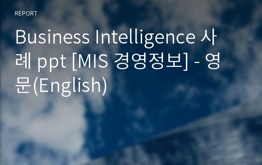 Business Intelligence 사례 ppt [MIS 경영정보] - 영문(English)