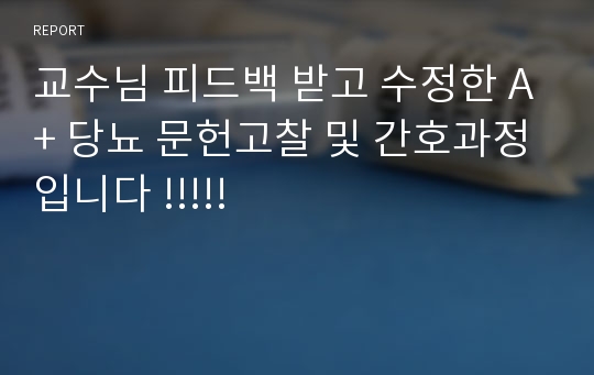 교수님 피드백 받고 수정한 A+ 당뇨 문헌고찰 및 간호과정입니다 !!!!!