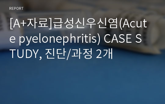 [A+자료]급성신우신염(Acute pyelonephritis) CASE STUDY, 진단/과정 2개