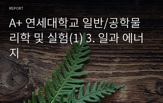 A+ 연세대학교 일반/공학물리학 및 실험(1) 3. 일과 에너지