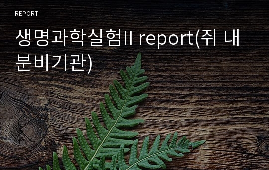 생명과학실험II report(쥐 내분비기관)