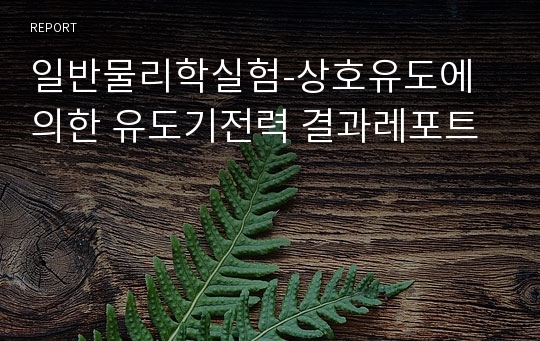 일반물리학실험-상호유도에 의한 유도기전력 결과레포트