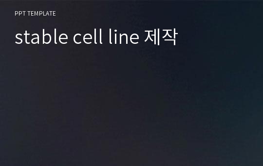 stable cell line 제작