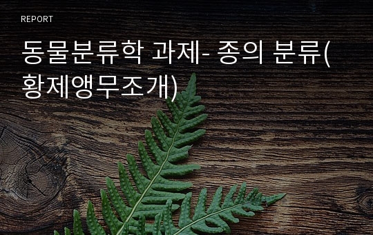 동물분류학 과제- 종의 분류(황제앵무조개)