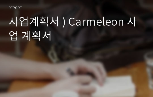 사업계획서 ) Carmeleon 사업 계획서