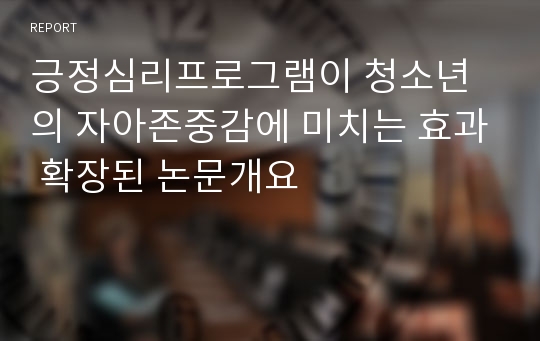 긍정심리프로그램이 청소년의 자아존중감에 미치는 효과 확장된 논문개요