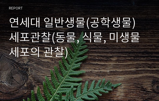 연세대 일반생물(공학생물) 세포관찰(동물, 식물, 미생물 세포의 관찰)