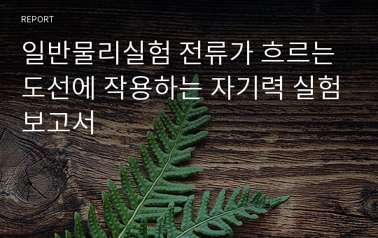 일반물리실험 전류가 흐르는 도선에 작용하는 자기력 실험보고서