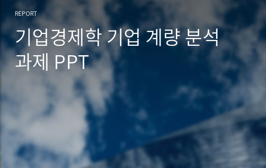 기업경제학 기업 계량 분석 과제 PPT