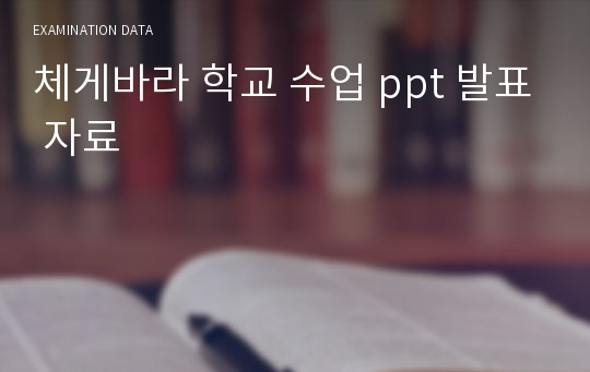 체게바라 학교 수업 ppt 발표 자료