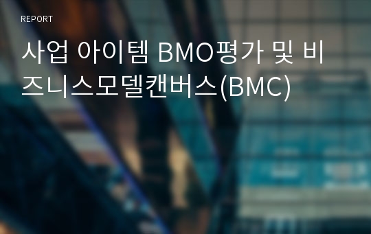 사업 아이템 BMO평가 및 비즈니스모델캔버스(BMC)