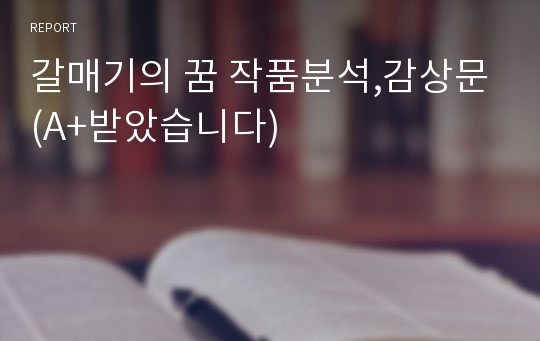 갈매기의 꿈 작품분석,감상문(A+받았습니다)