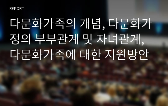 다문화가족의 개념, 다문화가정의 부부관계 및 자녀관계, 다문화가족에 대한 지원방안