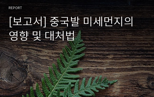 [보고서] 중국발 미세먼지의 영향 및 대처법