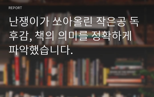 난쟁이가 쏘아올린 작은공 독후감, 책의 의미를 정확하게 파악했습니다.