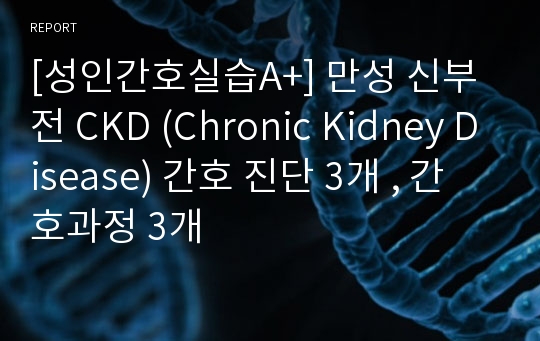 [성인간호실습A+] 만성 신부전 CKD (Chronic Kidney Disease) 간호 진단 3개 , 간호과정 3개