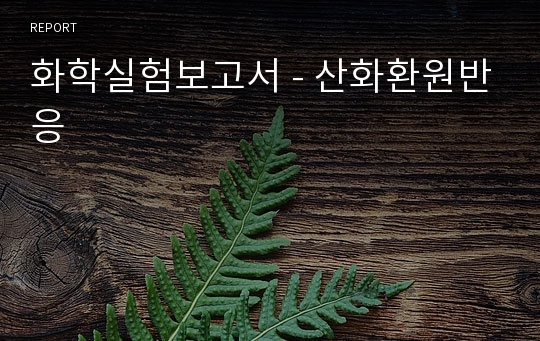 화학실험보고서 - 산화환원반응