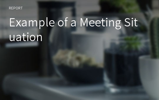 Example of a Meeting Situation