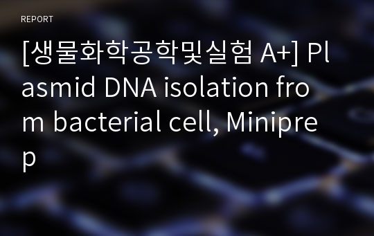 [생물화학공학및실험 A+] Plasmid DNA isolation from bacterial cell, Miniprep