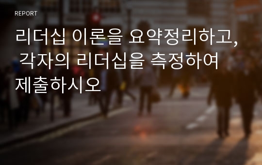 리더십 이론을 요약정리하고, 각자의 리더십을 측정하여 제출하시오