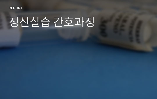 정신실습 간호과정