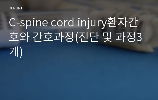 C-spine cord injury환자간호와 간호과정(진단 및 과정3개)