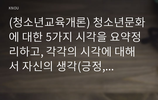 (청소년교육개론) 청소년문화에 대한 5가지 시각을 요약정리하고, 각각의 시각에 대해서 자신의 생각(긍정, 부정 등)과 그 이유