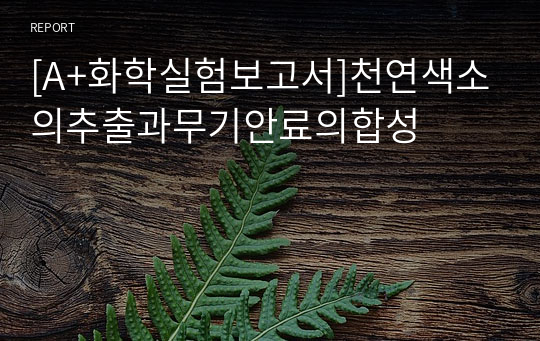 [A+화학실험보고서]천연색소의추출과무기안료의합성