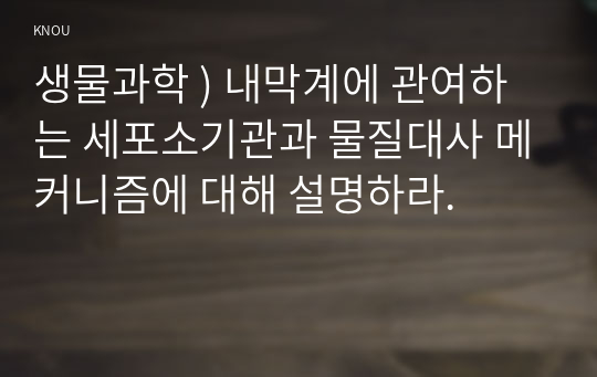 생물과학 ) 내막계에 관여하는 세포소기관, 물질대사 메커니즘