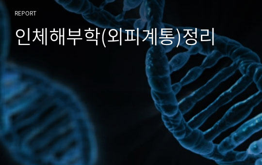 인체해부학(외피계통)정리