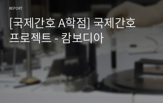 [국제간호 A학점] 국제간호 프로젝트 - 캄보디아