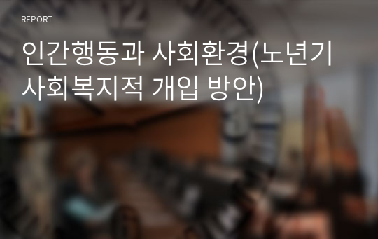 인간행동과 사회환경(노년기 사회복지적 개입 방안)