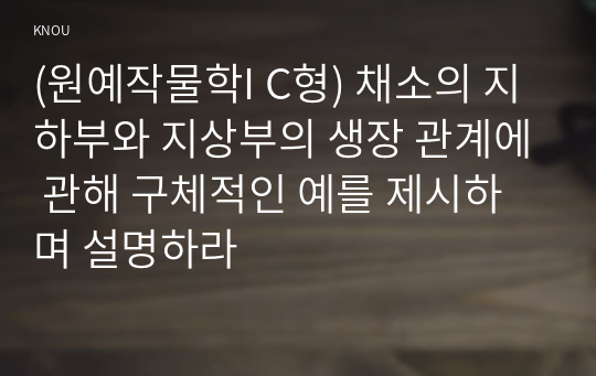 (원예작물학I C형) 채소의 지하부와 지상부의 생장 관계에 관해 구체적인 예를 제시하며 설명하라