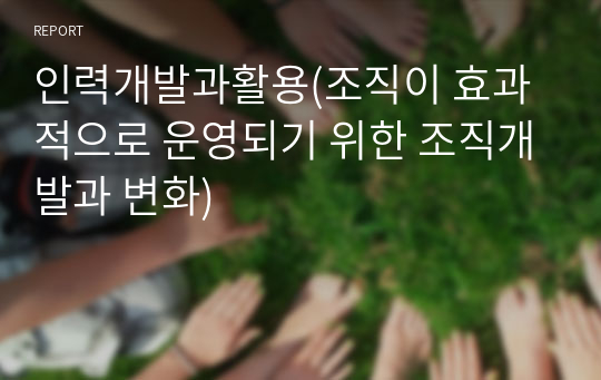 인력개발과활용(조직이 효과적으로 운영되기 위한 조직개발과 변화)