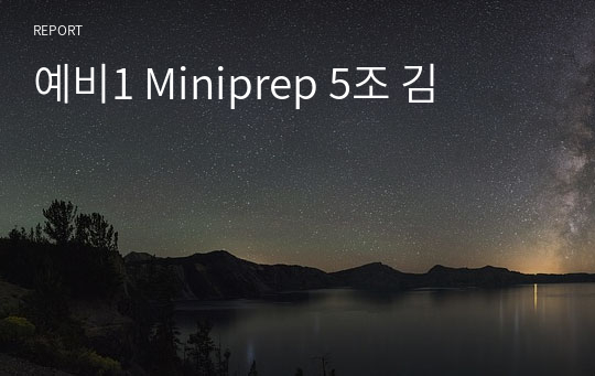 예비1 Miniprep 5조 김