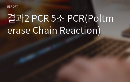 결과2 PCR 5조 PCR(Poltmerase Chain Reaction)