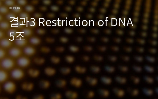 결과3 Restriction of DNA 5조