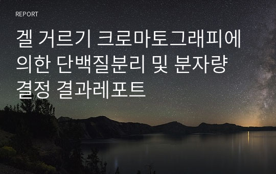 겔 거르기 크로마토그래피에 의한 단백질분리 및 분자량 결정 결과레포트