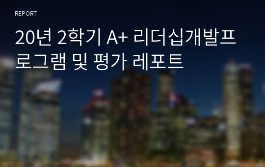 20년 2학기 A+ 리더십개발프로그램 및 평가 레포트