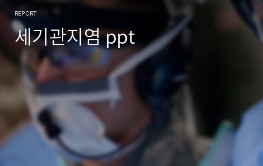 세기관지염 ppt