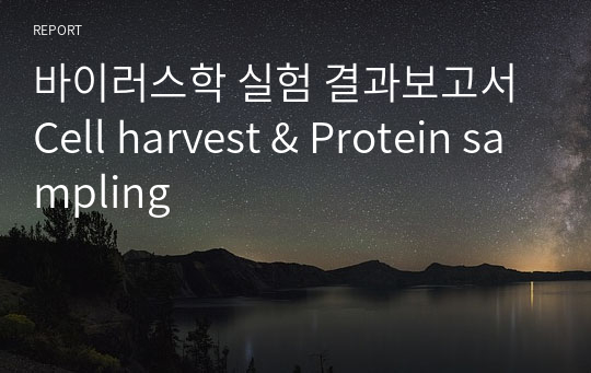 바이러스학 실험 결과보고서 Cell harvest &amp; Protein sampling