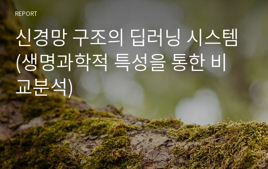 신경망 구조의 딥러닝 시스템(생명과학적 특성을 통한 비교분석)