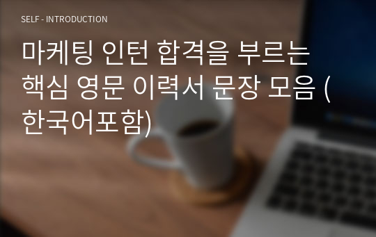 일반 마케팅 인턴(Marketing Intern)국내 및 외국계 합격을 부르는 핵심 영문 이력서 필수 핵심 문장 모음 (한국어포함)