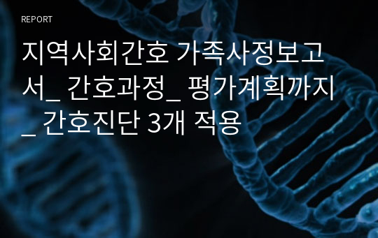 지역사회간호 가족사정보고서_ 간호과정_ 평가계획까지_ 간호진단 3개 적용