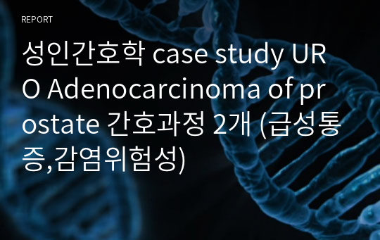 성인간호학 case study URO Adenocarcinoma of prostate 간호과정 2개 (급성통증,감염위험성)