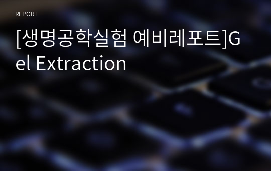 [생명공학실험 예비레포트]Gel Extraction