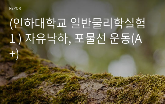 (인하대학교 일반물리학실험 1 ) 자유낙하, 포물선 운동(A+)