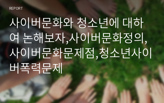 사이버문화와 청소년에 대하여 논해보자,사이버문화정의,사이버문화문제점,청소년사이버폭력문제